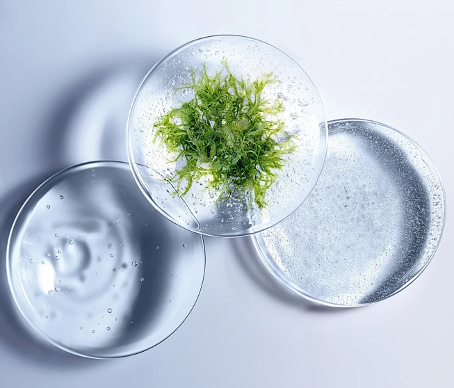 湖南微肽 | 械二类医用敷料的种类及作用